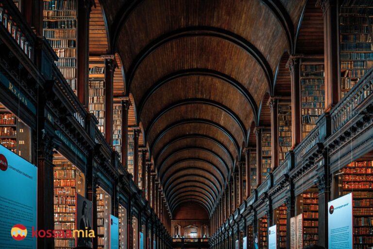 Nacionalidad española por descendencia. Acceso formativo de 1ª